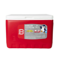 COOLER YCEPRO 36 QT BASA