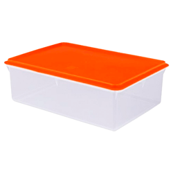 CAJA CONSERVADOR  Nº9  BASA