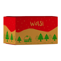 CAJA DE CARTON WASI 40L 27AN 25ALT